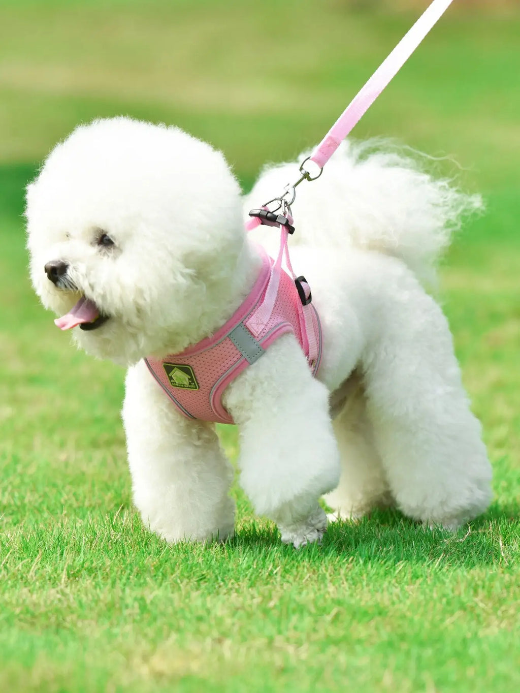 Pink Adjustable Breathable Mesh Pet Harness with Leash for Small Dogs and Cats