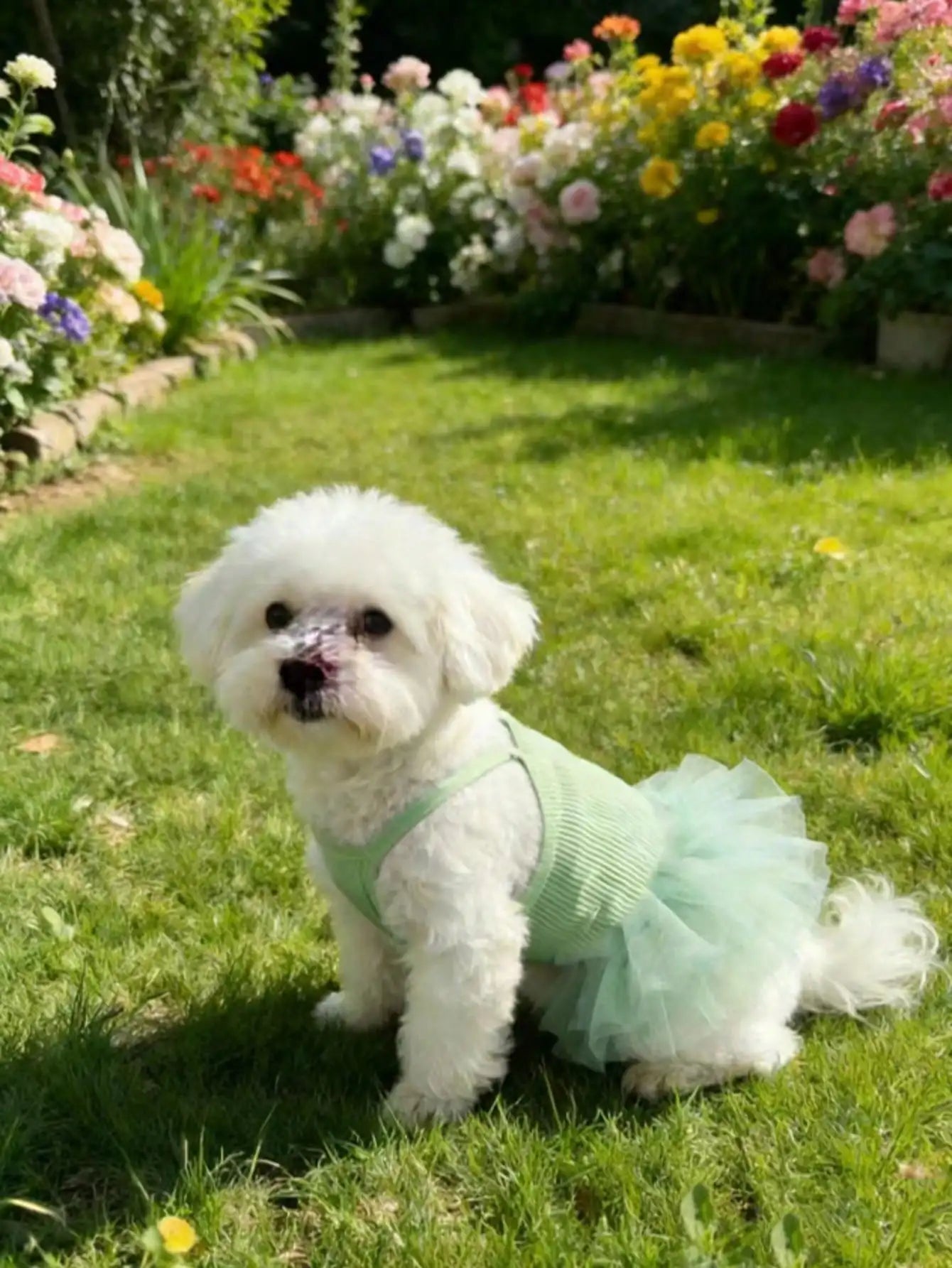 1pc Pink Tulle Sleeveless Pet Dress for Small Dogs & Cats