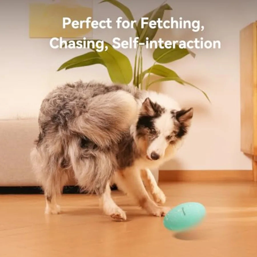 Smart Interactive Dog Toy Wicked Rugby Squeaky Dog Toy Football