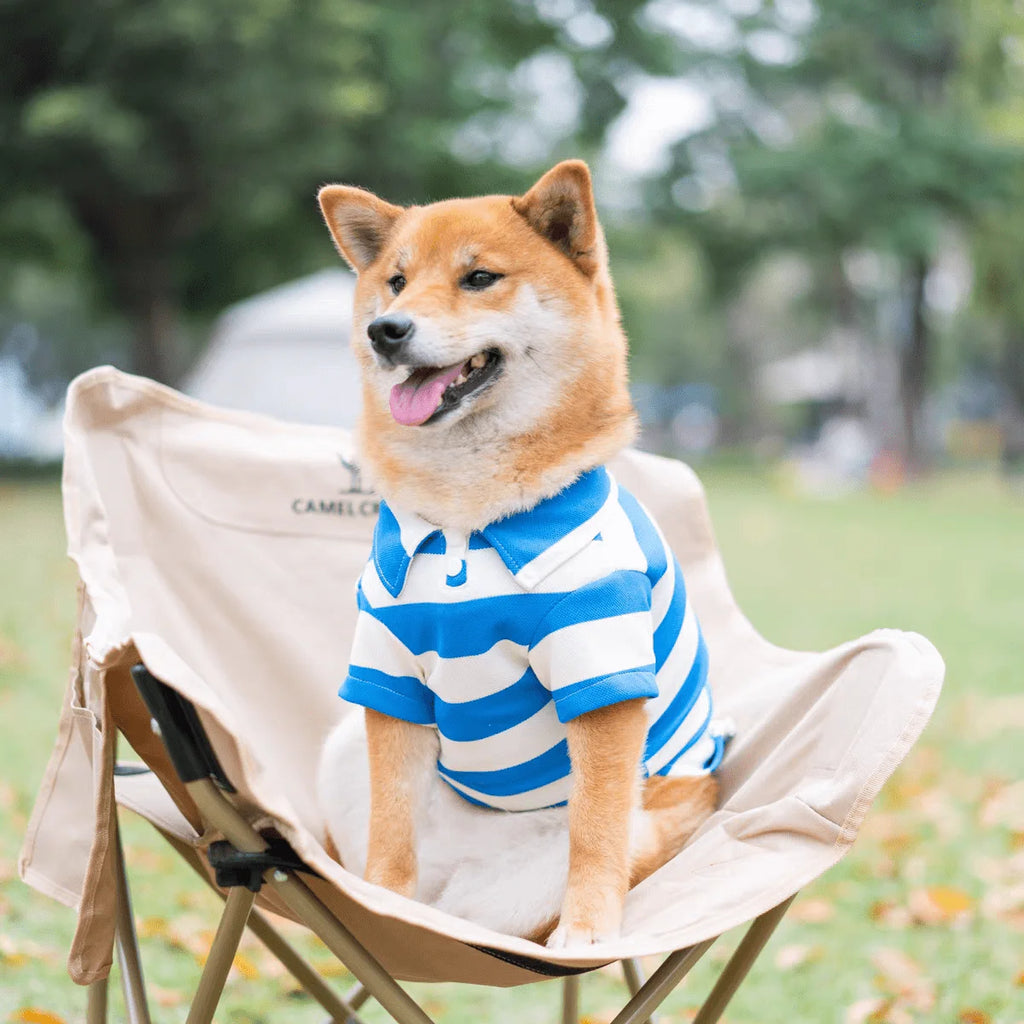 Blue  Cream Striped Polo Shirt for Small to Medium Dogs,
