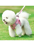 Blue Mesh Adjustable Dog Harness and Leash