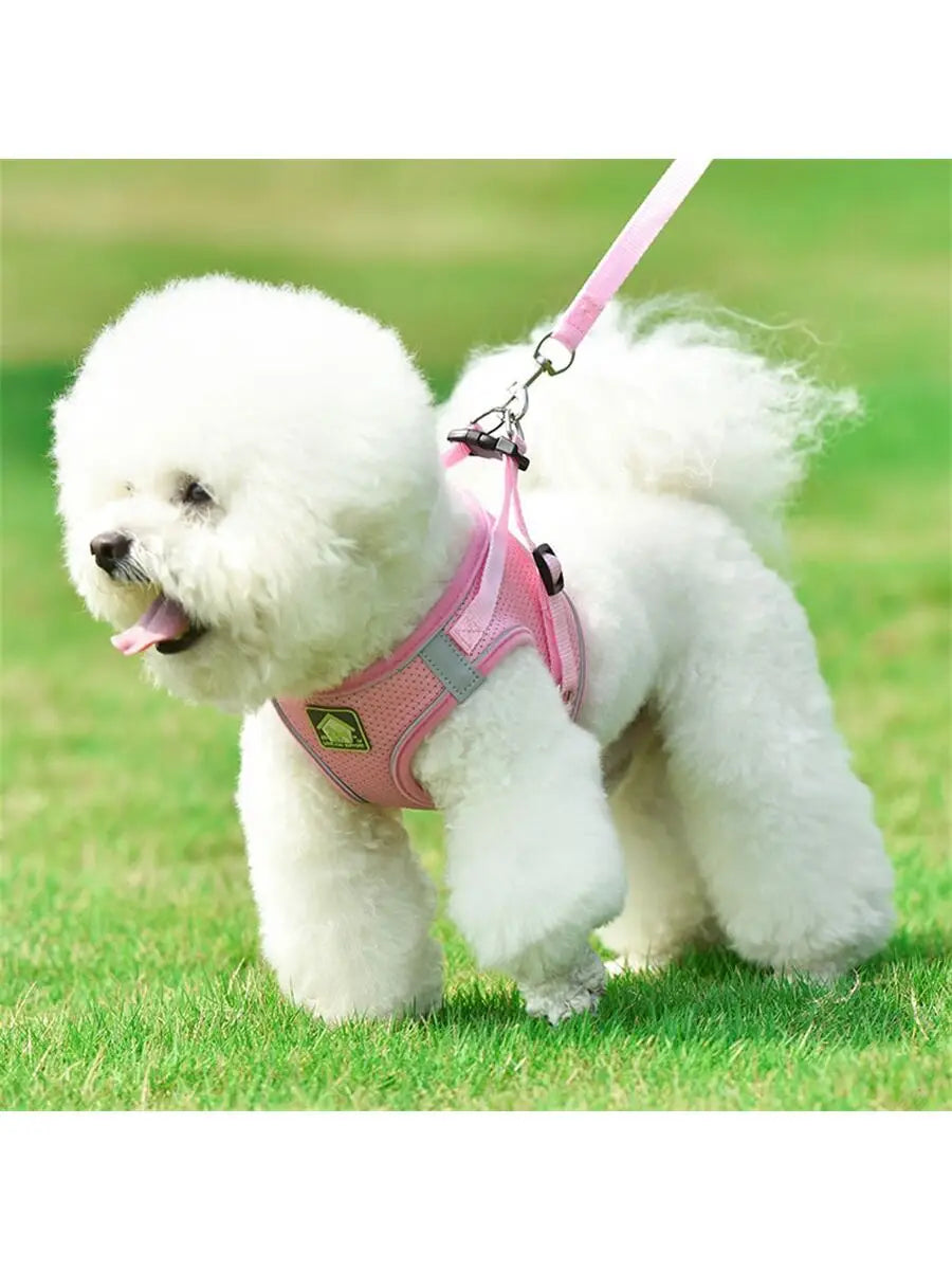 Blue Mesh Adjustable Dog Harness and Leash