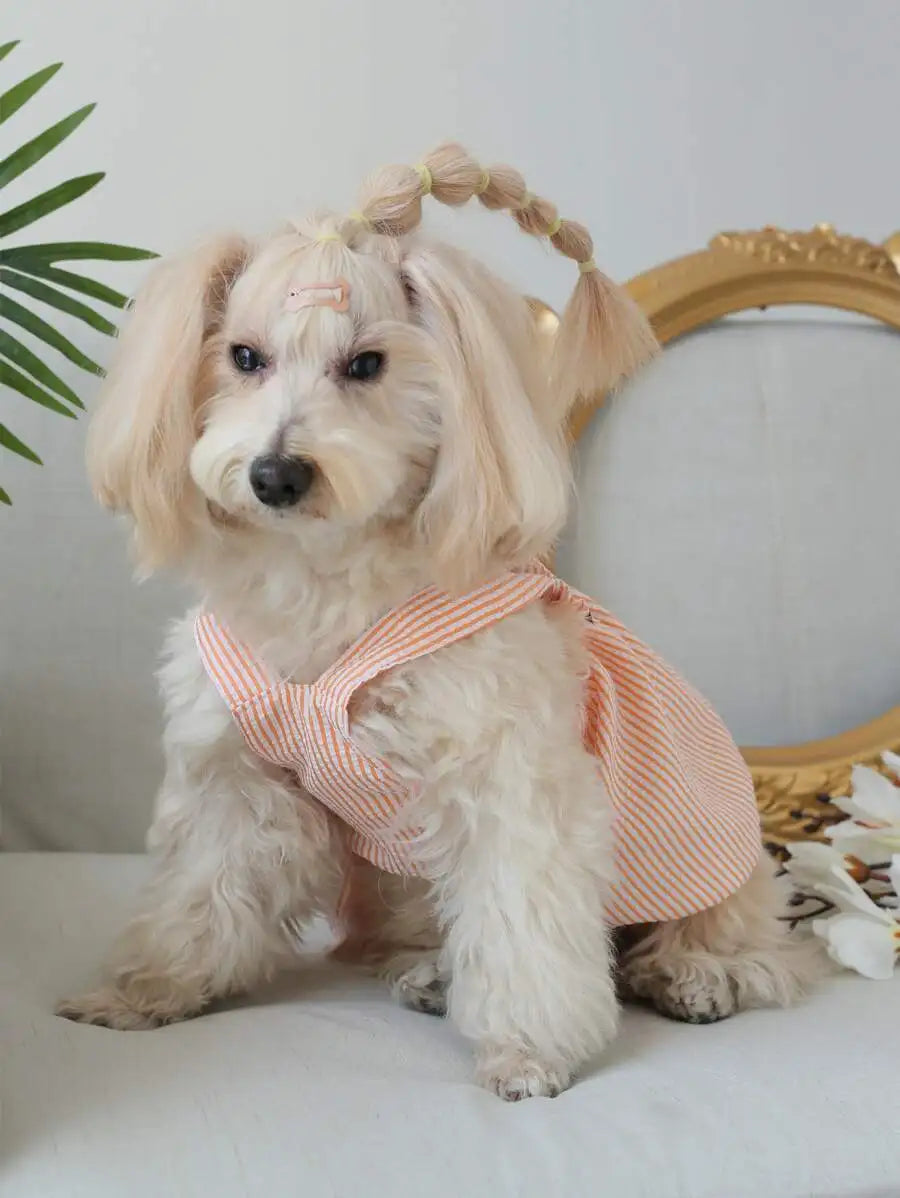 Orange & White Striped Pet Dress  for Small Dogs