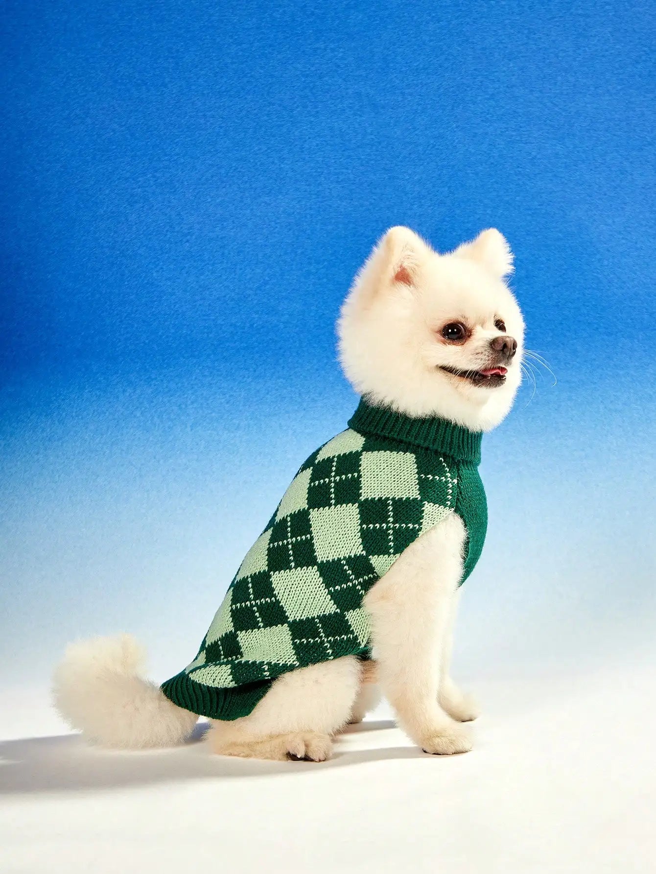 Green Argyle Knit Dog Sweater for Autumn Winter