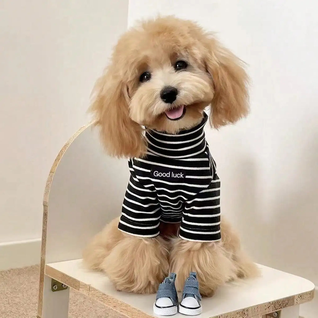 Striped Black and White Dog Sweater, Cozy Knit Pullover