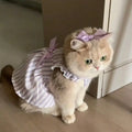 Striped Ruffled Dress  for Cats and Dogs