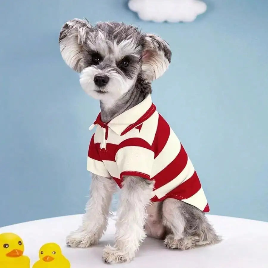 Blue  Cream Striped Polo Shirt for Small to Medium Dogs,