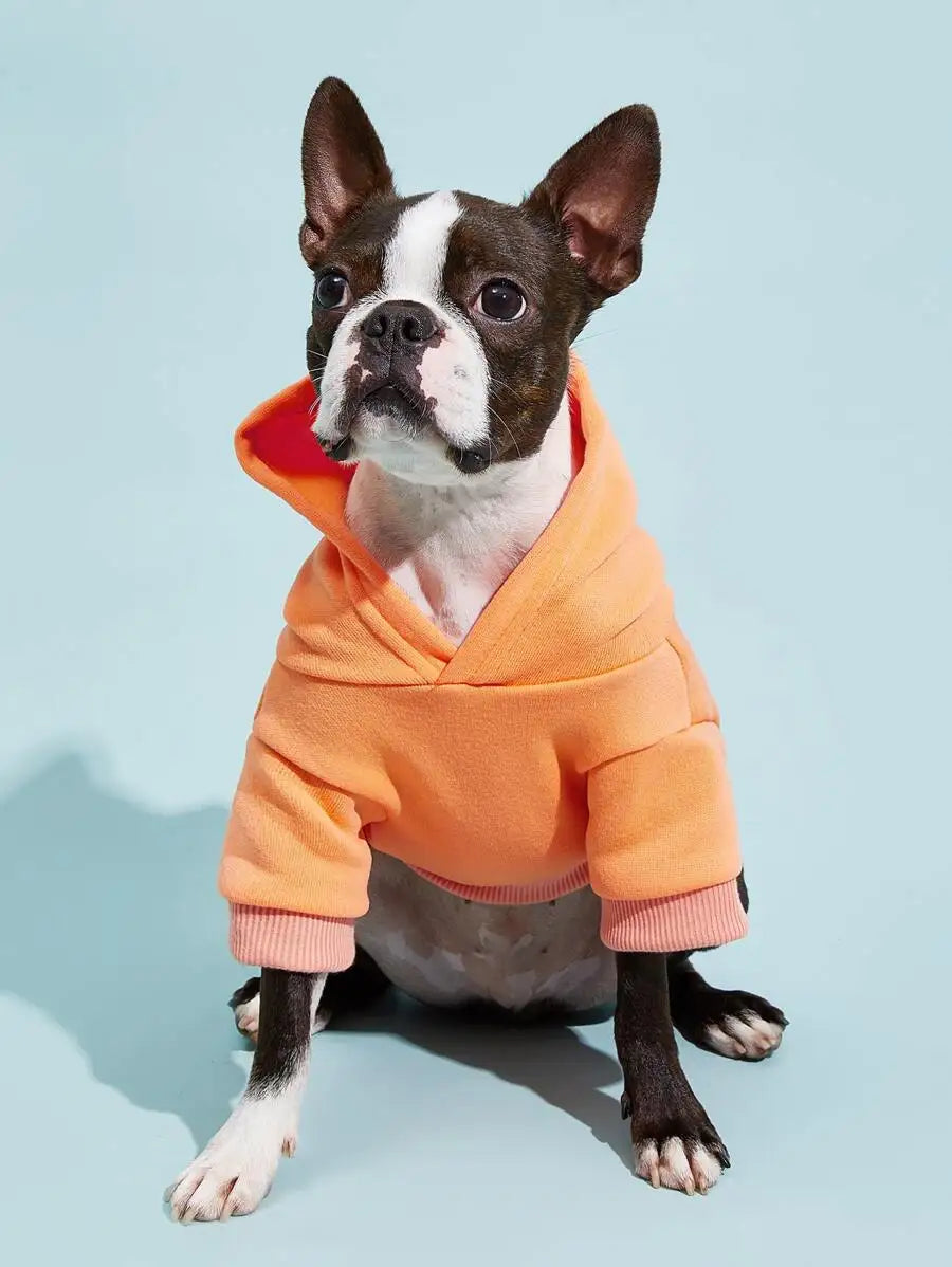 Orange Hooded Pet Sweatshirt with Thermal Lining for Dogs