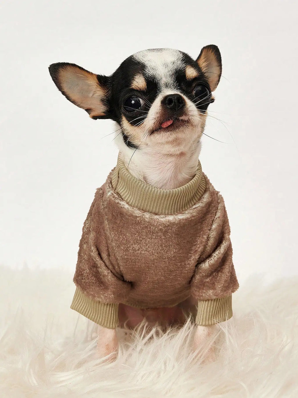 Print Soft Fleece Pet Sweatshirt for Dogs,