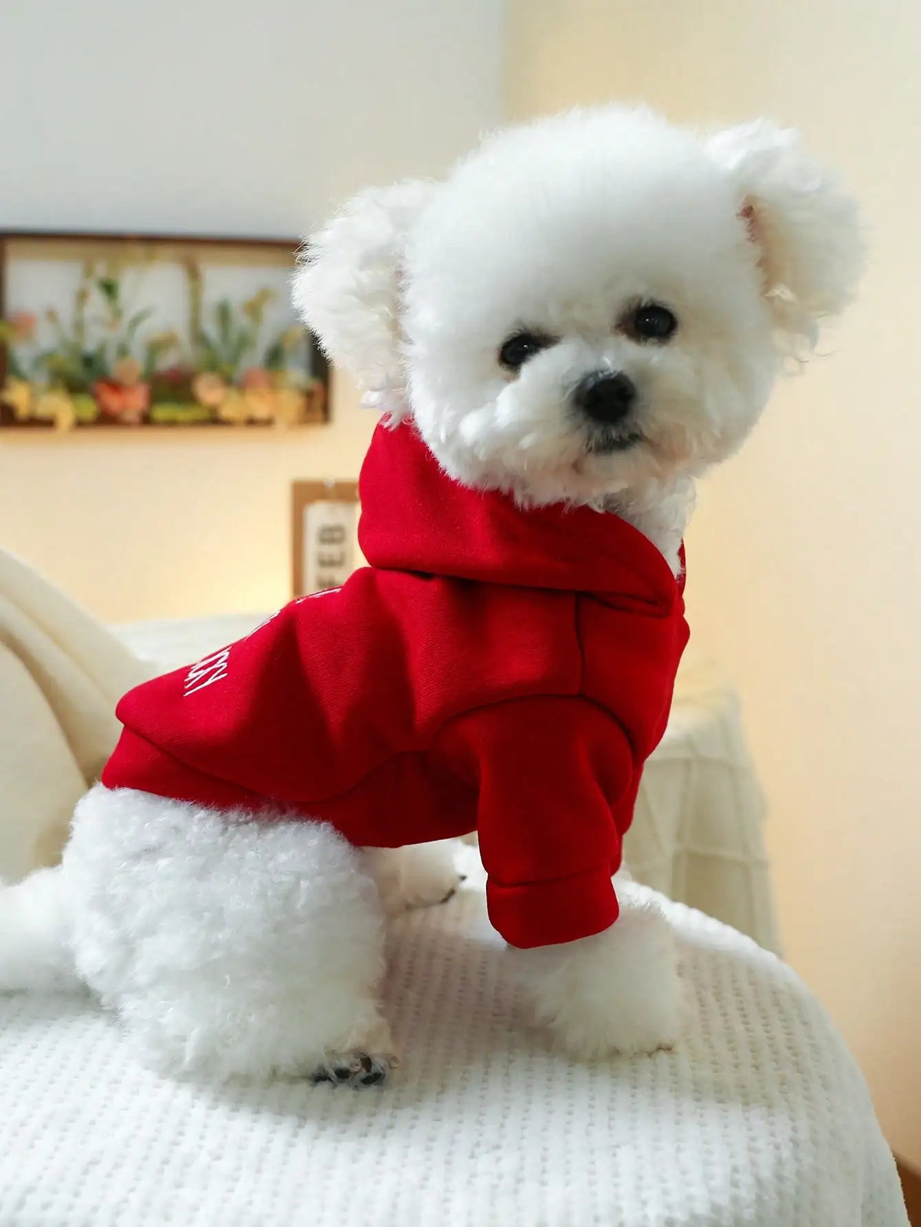 Red Hooded Pet Sweatshirt for Small Dogs
