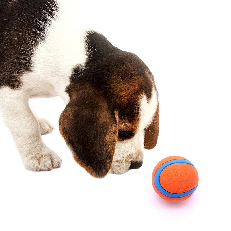 Natural Rubber Pet Bouncy Ball
