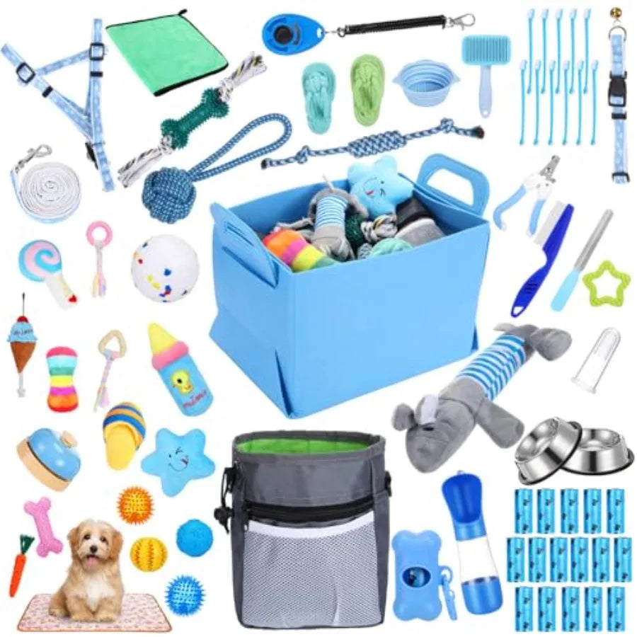 65 Pcs Puppy Supplies Starter Kit Small Dog