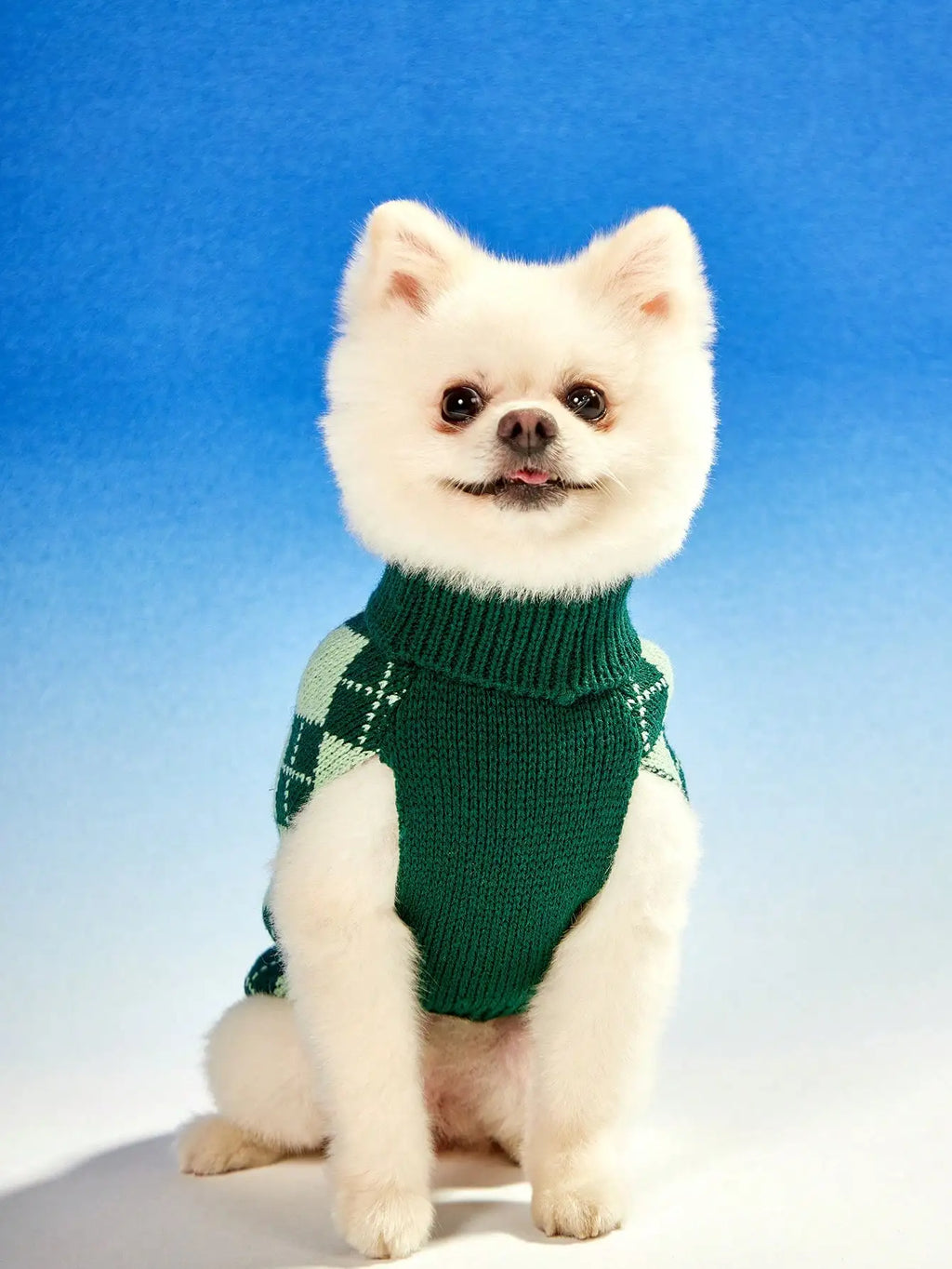 Green Argyle Knit Dog Sweater for Autumn Winter