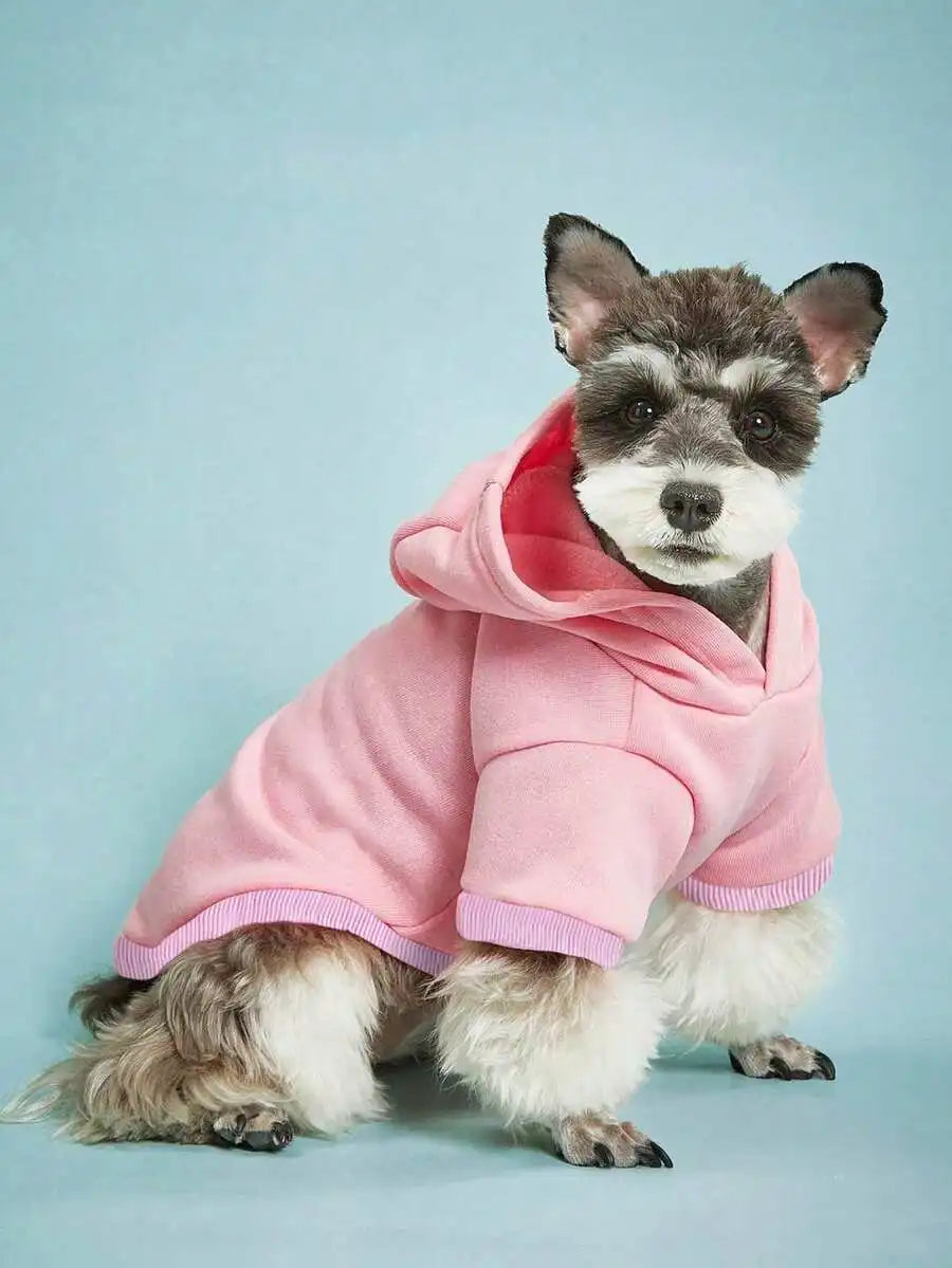 Orange Hooded Pet Sweatshirt with Thermal Lining for Dogs