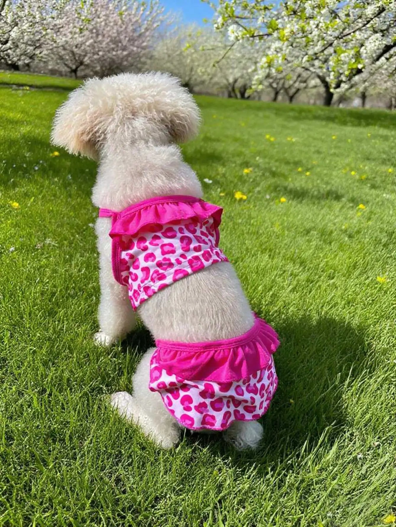Pink Heart Print Dog Bikini Dress for Beach & Photoshoots