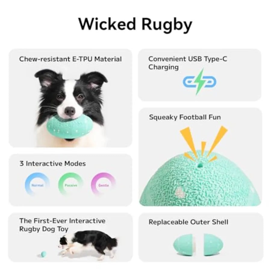 Smart Interactive Dog Toy Wicked Rugby Squeaky Dog Toy Football