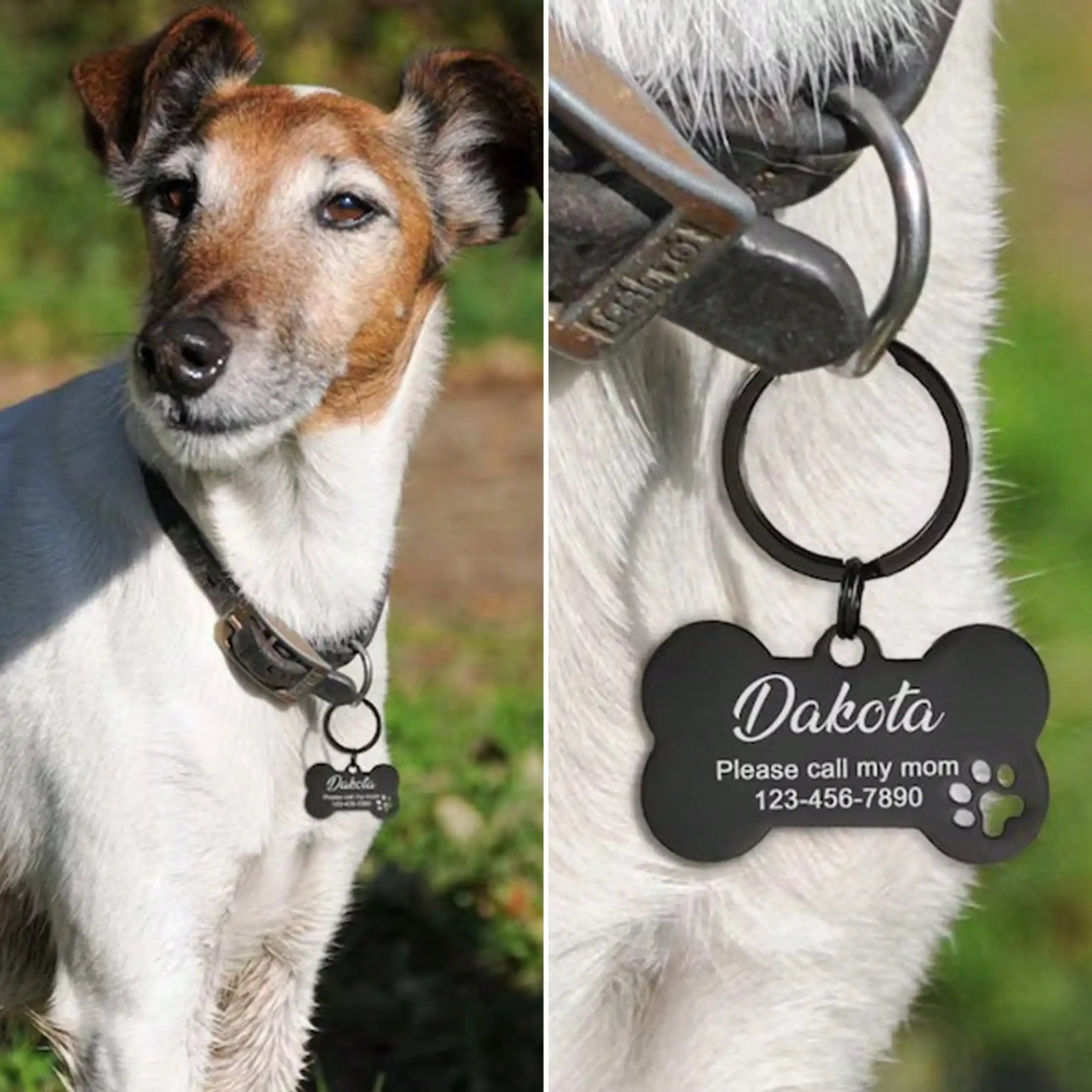 Custom Engraved Stainless Steel Bone-Shaped Pet ID Tag