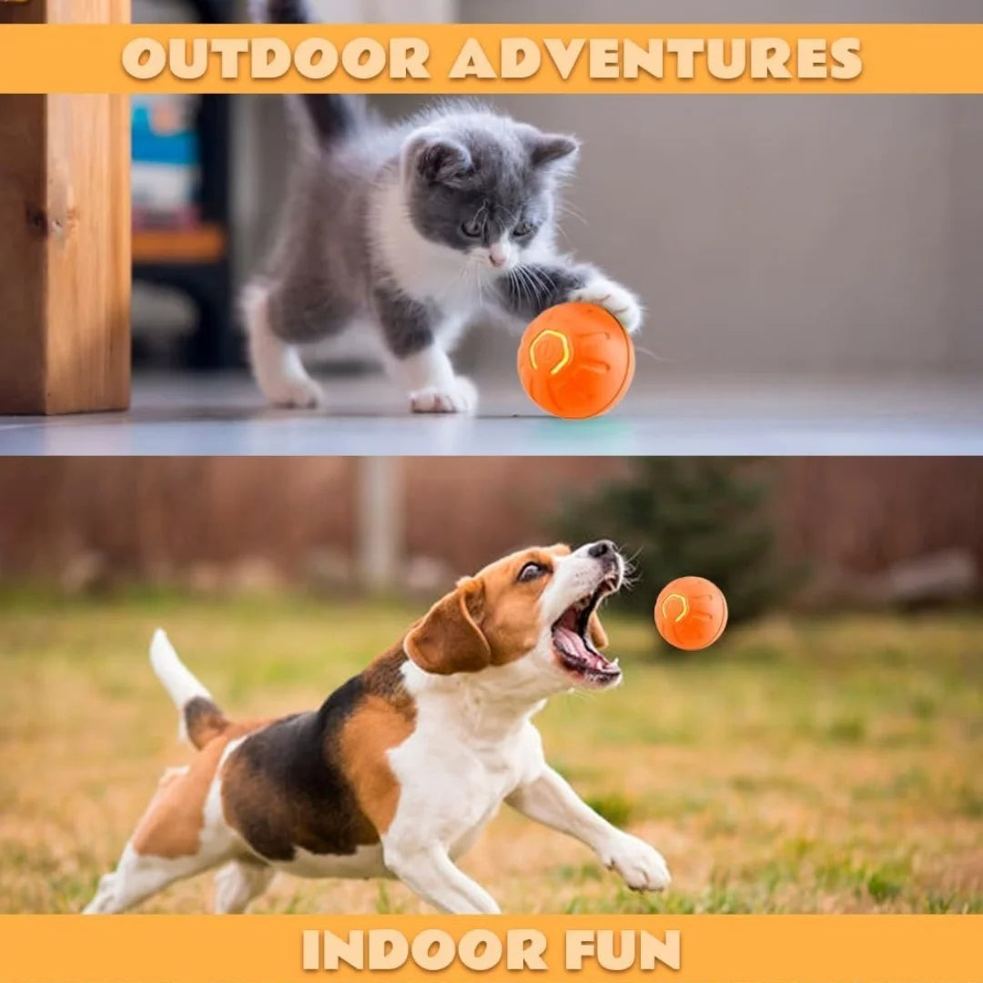 Smart Bouncing Electric Pet Ball, Automatic Random