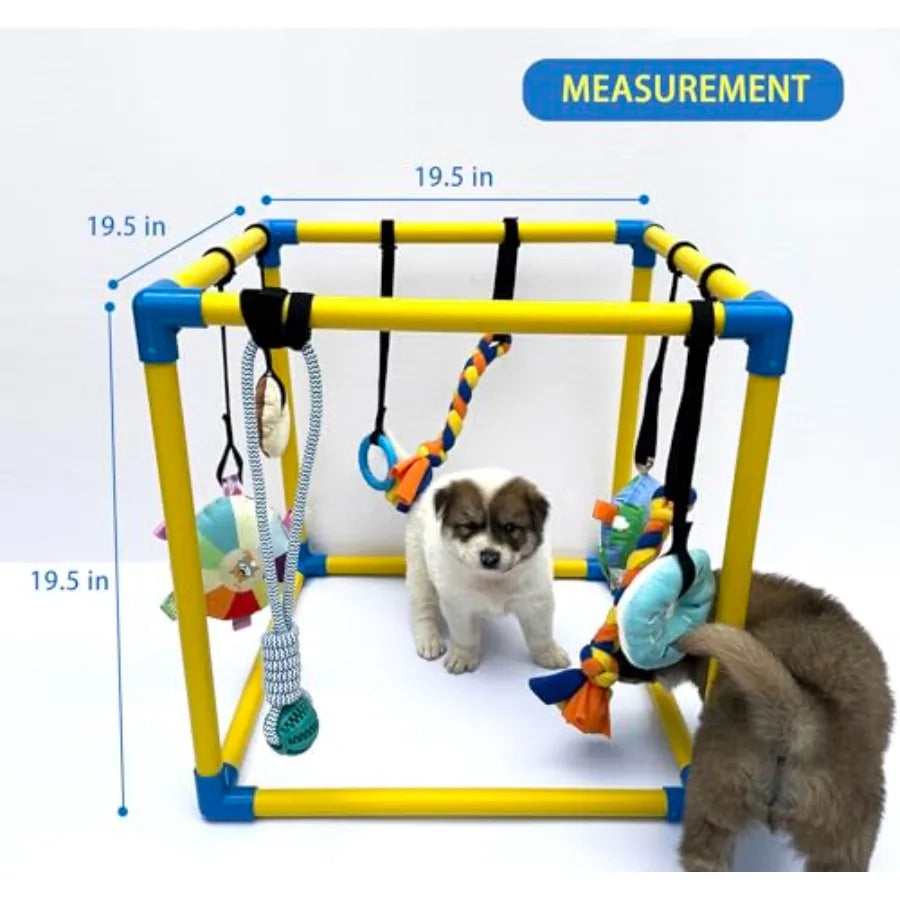 Small Dogs Indoor Jungle Gym, PVC Frame
