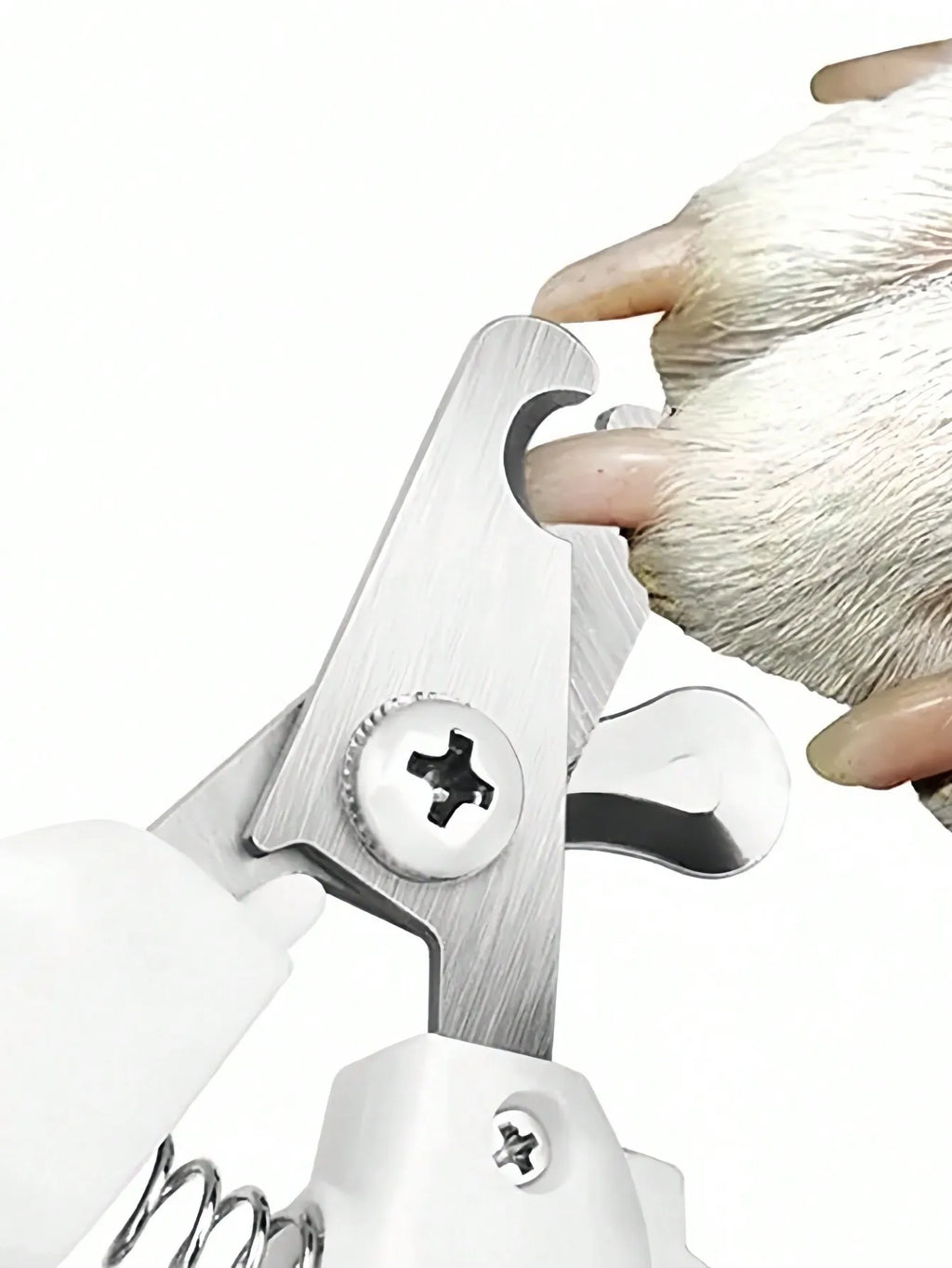 Stainless Steel Pet Nail Clipper  Safety Guard for Dogs Cats
