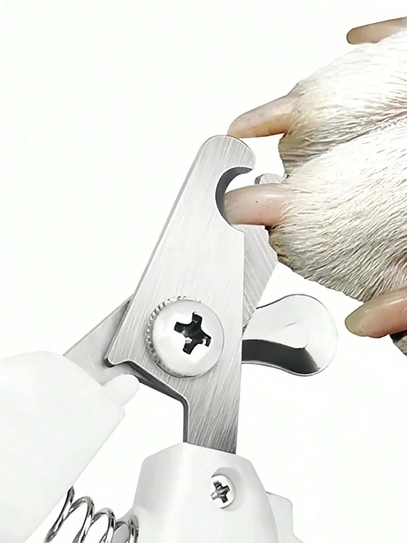 Stainless Steel Pet Nail Clipper  Safety Guard for Dogs Cats