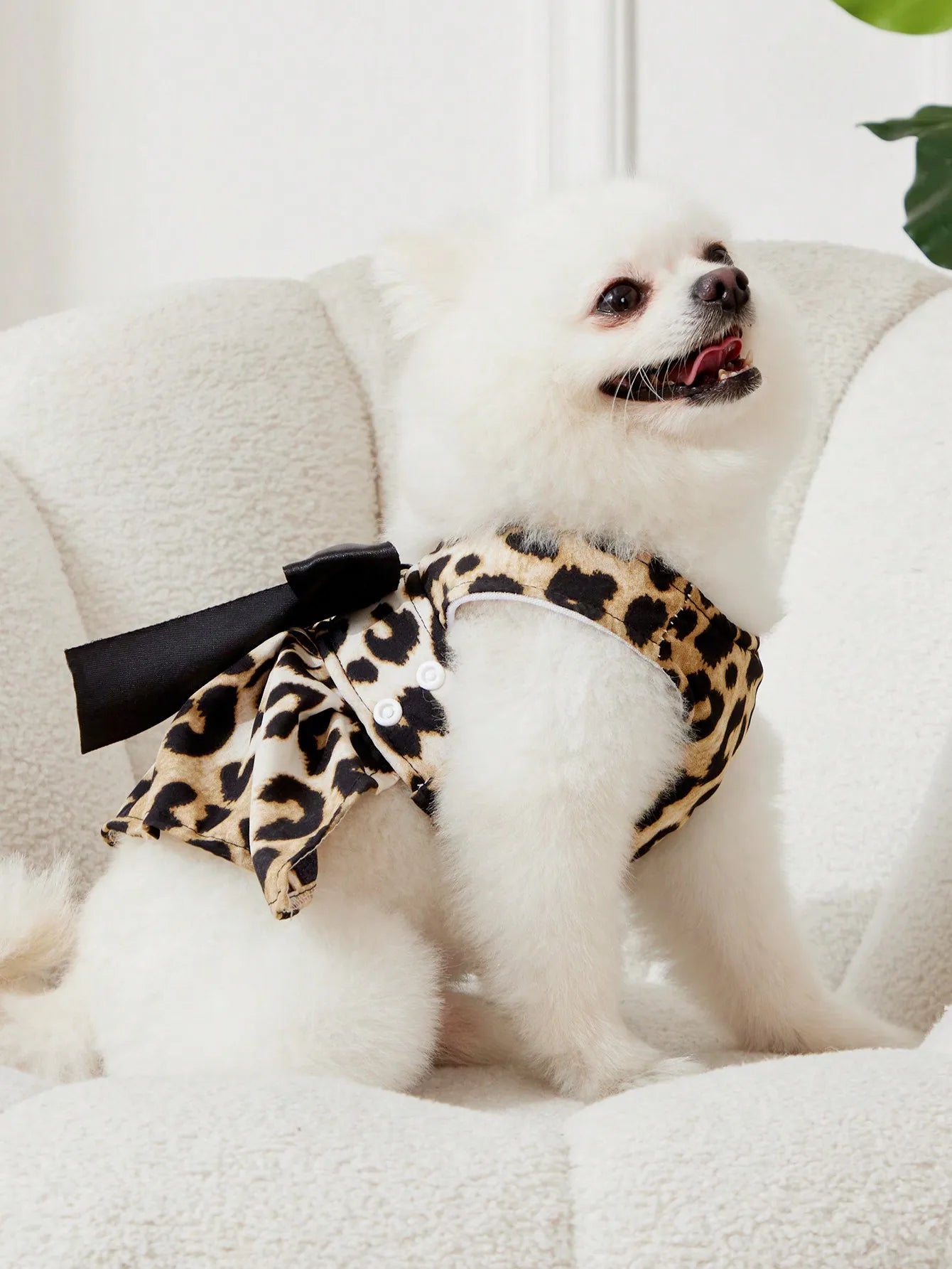 Leopard Print Bow Harness and Leash Set for Small Dogs and Cats