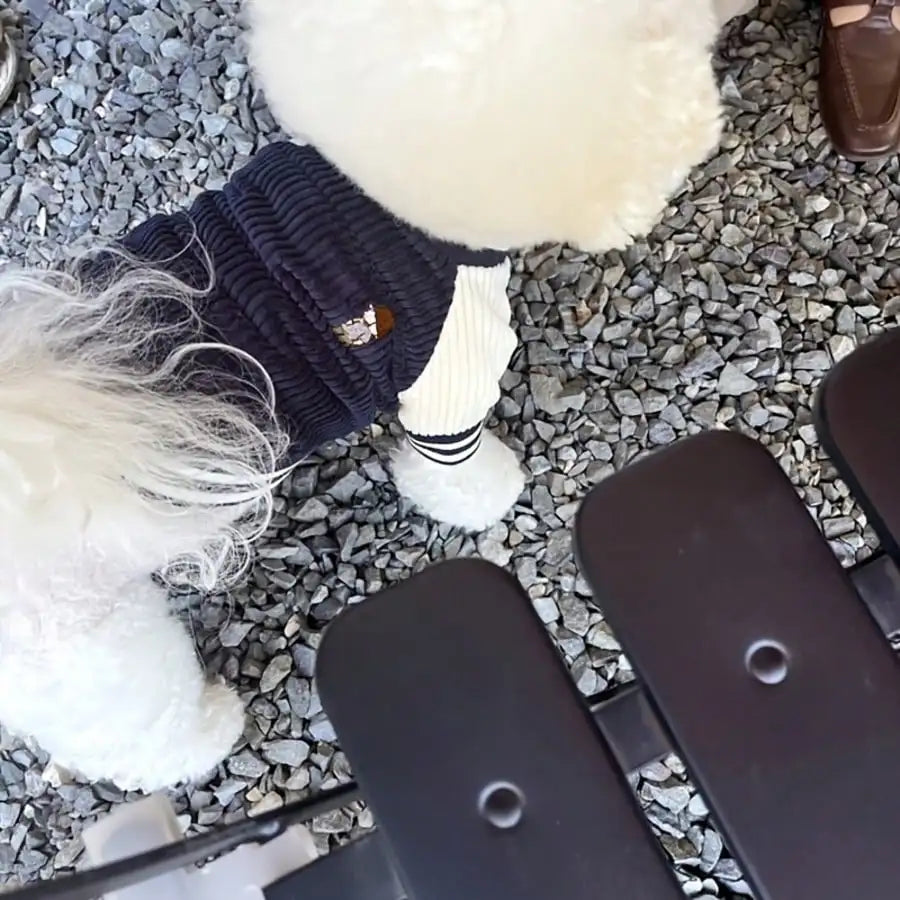 Corduroy Dog Varsity-Style Jacket for Autumn Winter