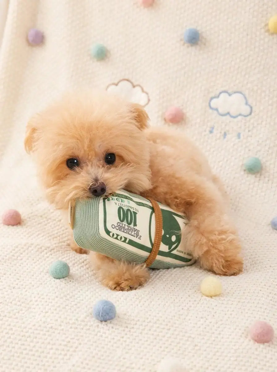 Green Money Stack Plush Squeaky Chew Toy