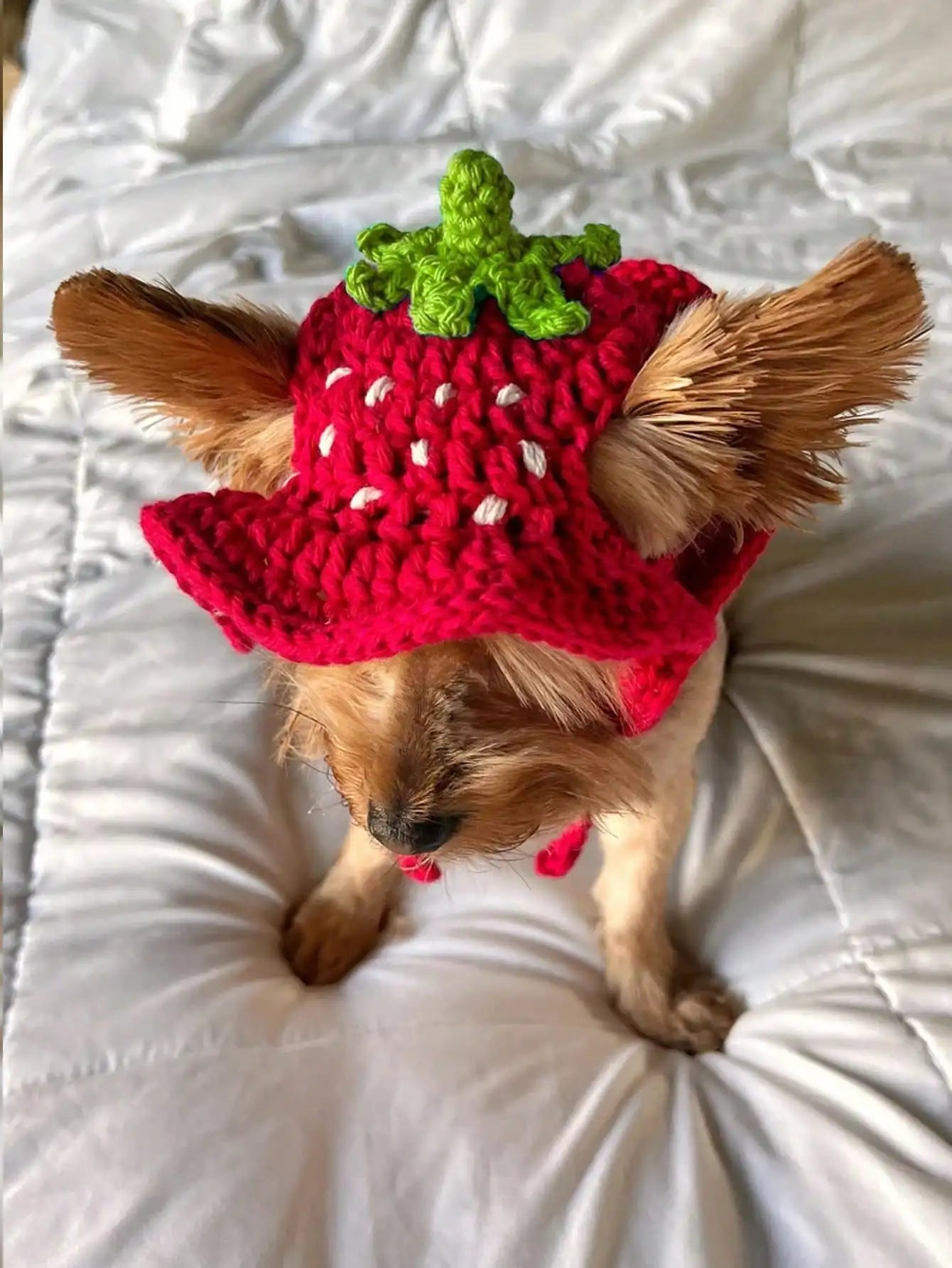 Hand-Crocheted Pet Hat in Strawberry Design for Small Dogs