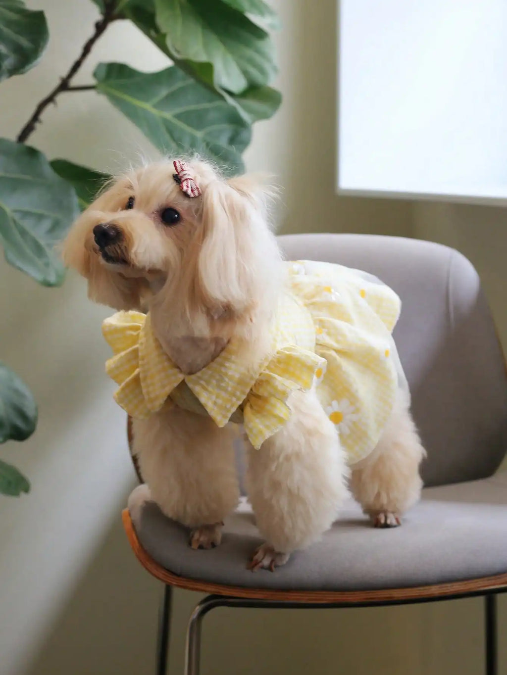 Yellow Gingham Dog Dress with Daisy Embroidery and Ruffled Sleeves