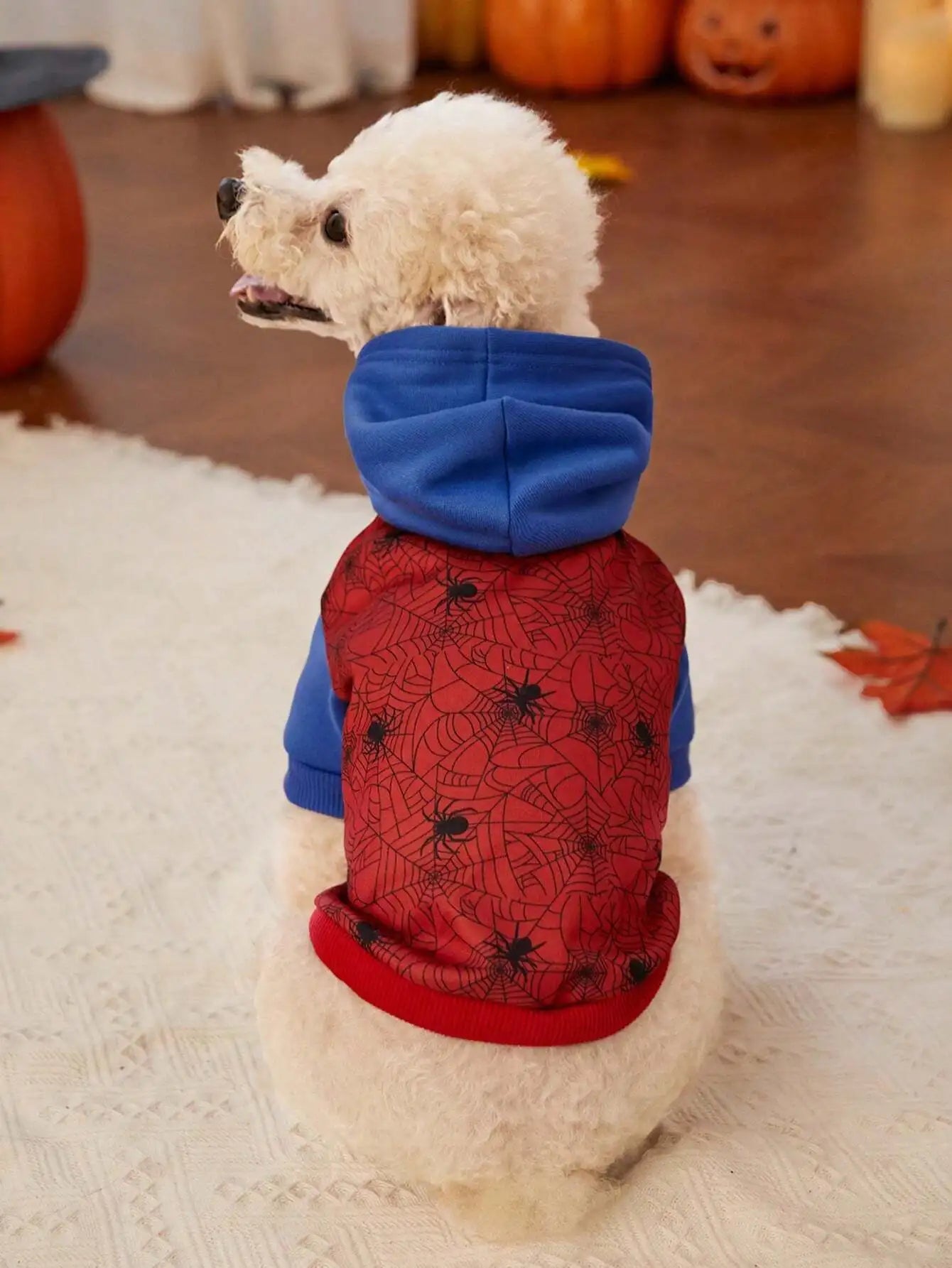 Spiderweb Print Hooded Dog Sweater for Halloween
