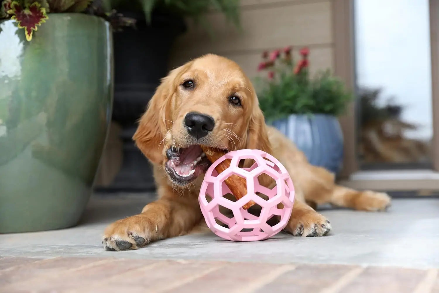 Large Dog Puzzle Toy Ball,