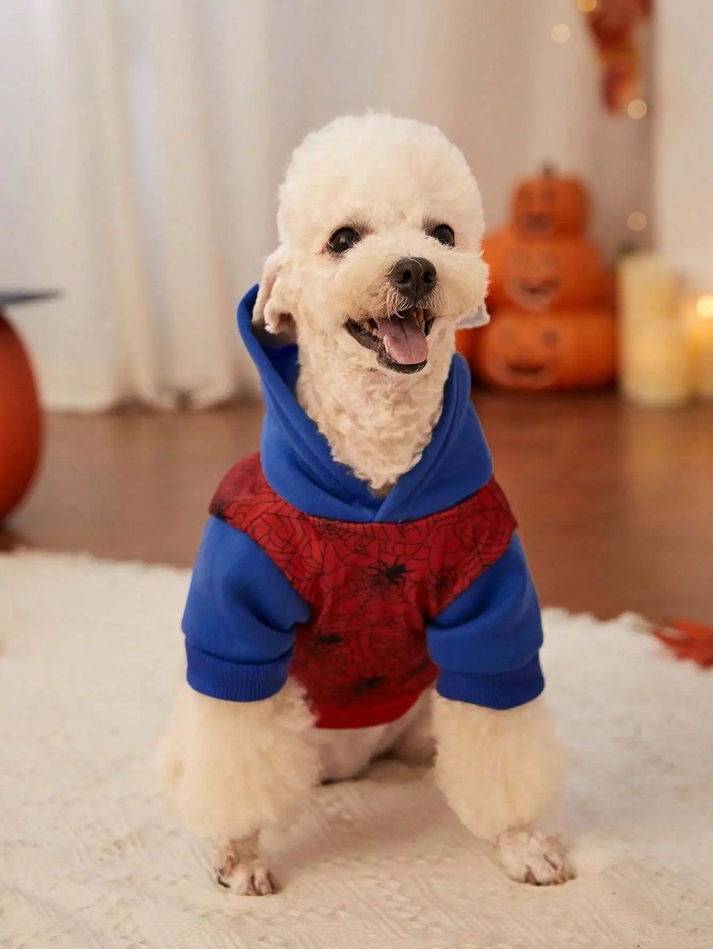 Spiderweb Print Hooded Dog Sweater for Halloween