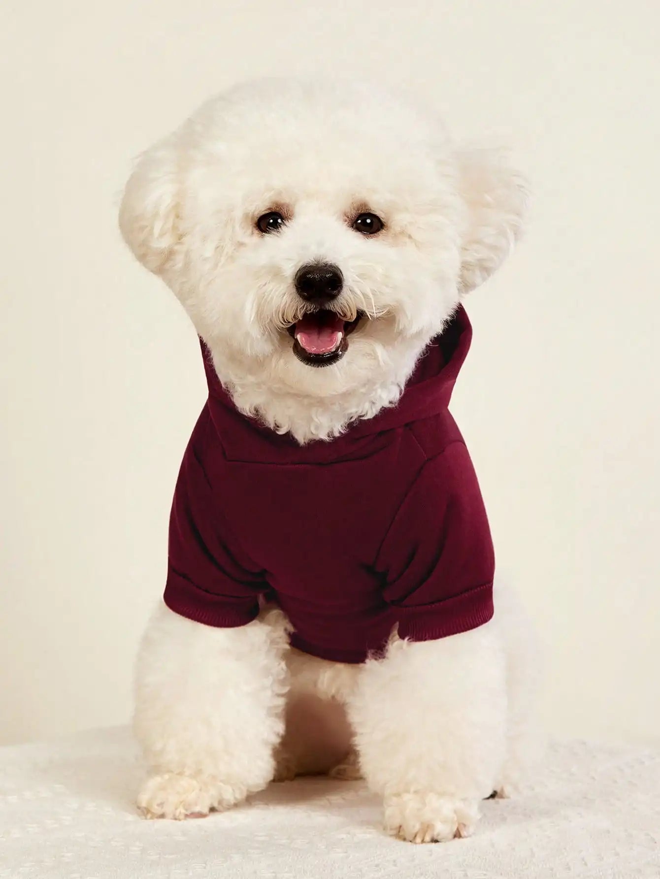Burgundy Thermal-Lined Pet Hoodie for Small Dogs and Cats