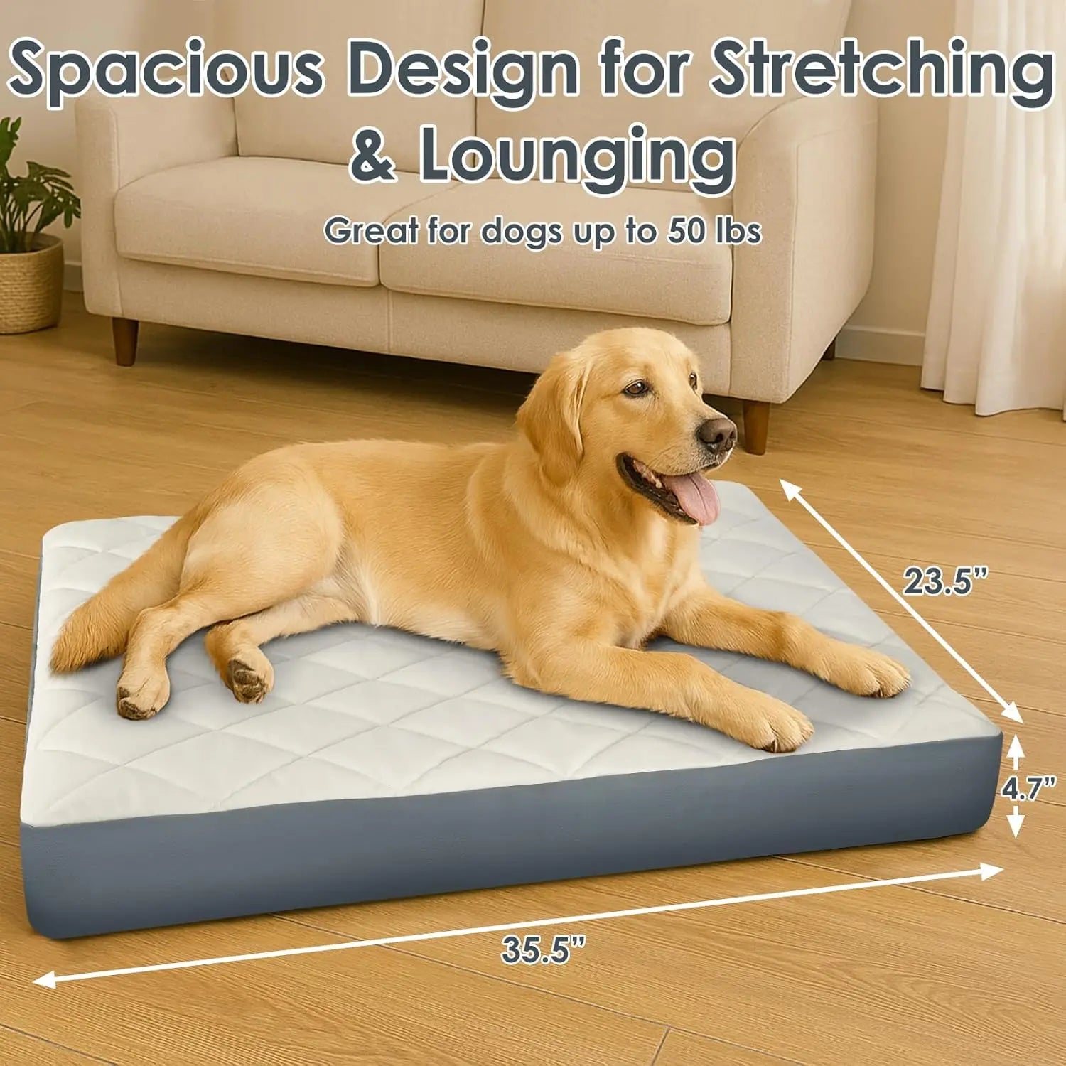 Large Orthopedic Dog Bed 35.5x23.5x4.7in