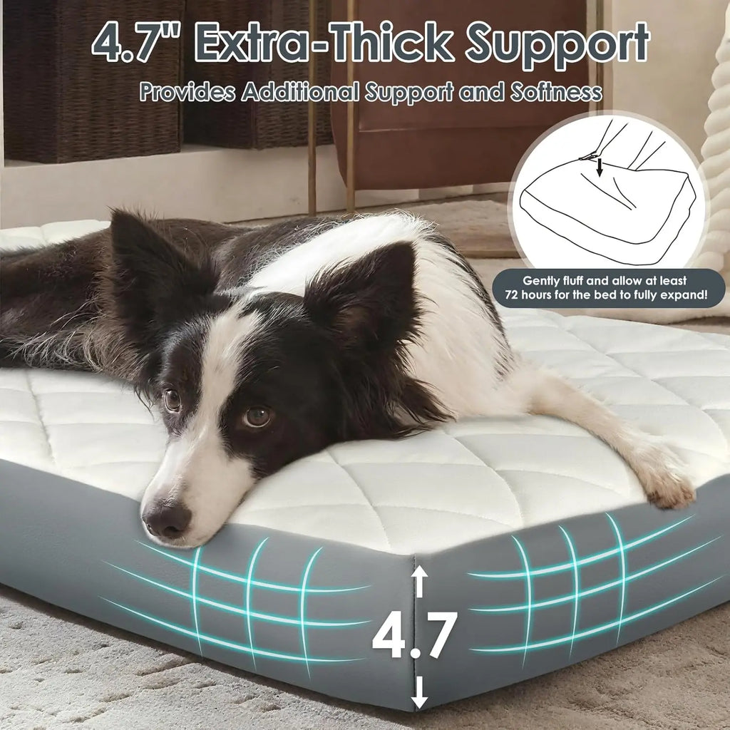 Large Orthopedic Dog Bed 35.5x23.5x4.7in