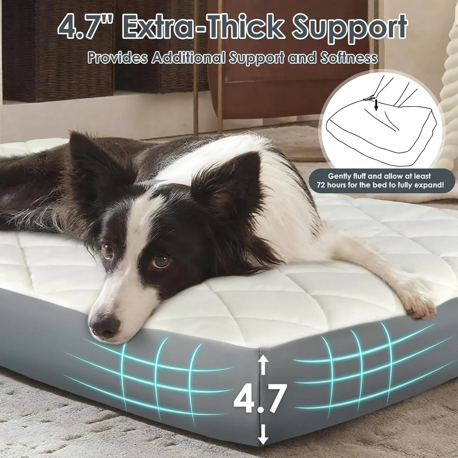 Large Orthopedic Dog Bed 35.5x23.5x4.7in
