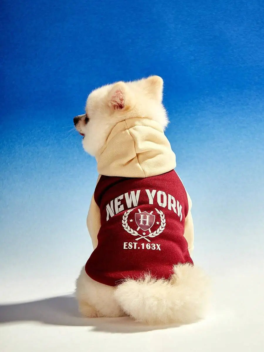 Pet Hoodie Sweatshirt with Vintage Color Block