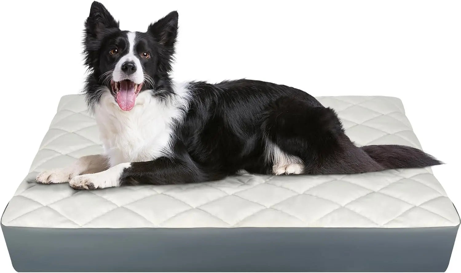 Large Orthopedic Dog Bed 35.5x23.5x4.7in
