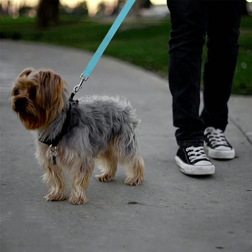 Blue Adjustable Pet Car Safety Harness