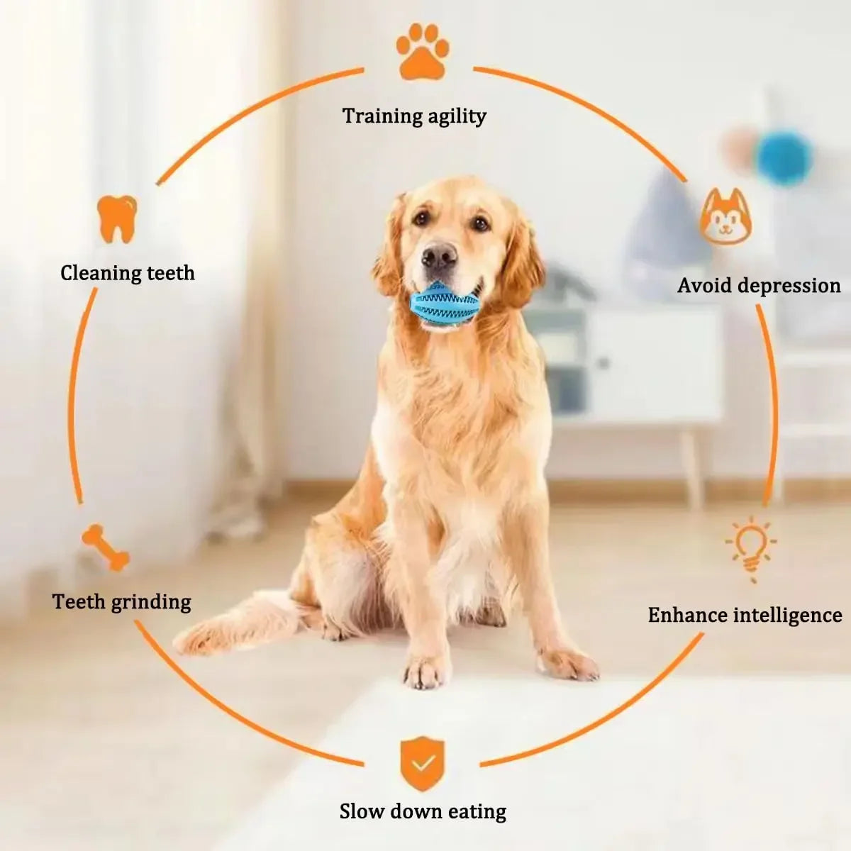 Pet Dog Chew Toys Teeth Cleaning Snack Ball Pet Dog