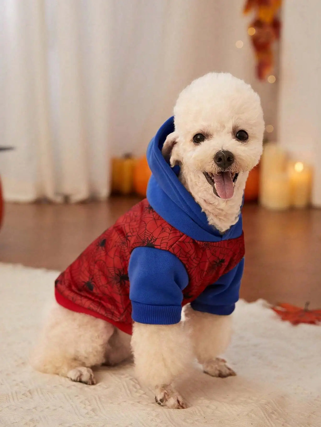 Spiderweb Print Hooded Dog Sweater for Halloween