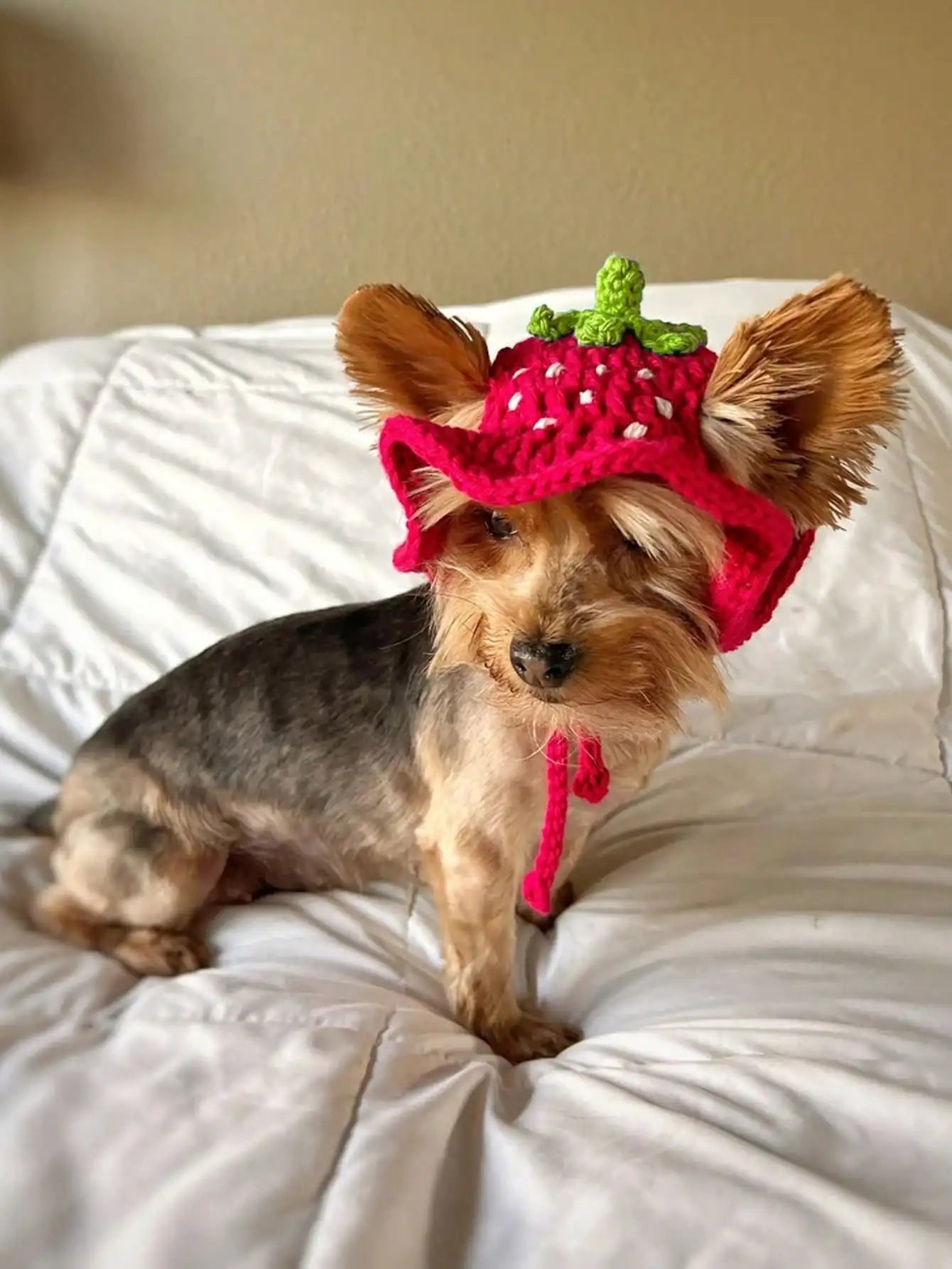 Hand-Crocheted Pet Hat in Strawberry Design for Small Dogs