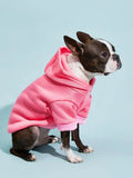 Orange Hooded Pet Sweatshirt with Thermal Lining for Dogs