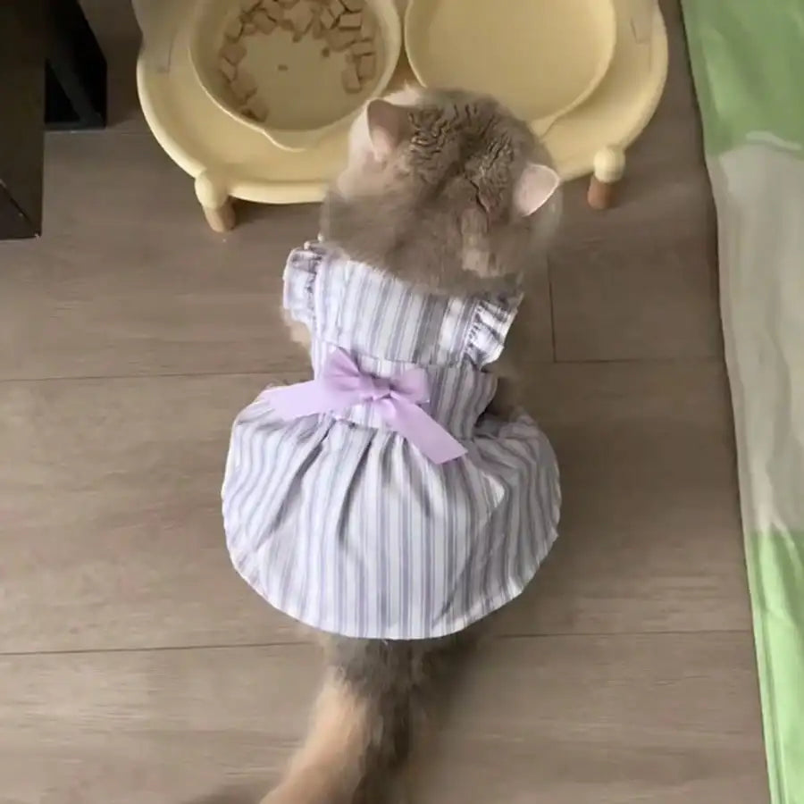 Striped Ruffled Dress  for Cats and Dogs