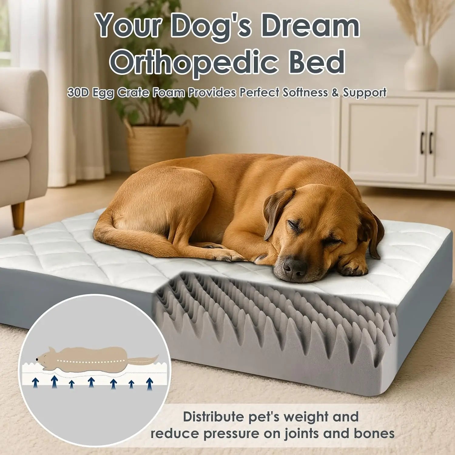 Large Orthopedic Dog Bed 35.5x23.5x4.7in