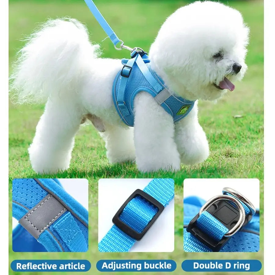Blue Mesh Adjustable Dog Harness and Leash