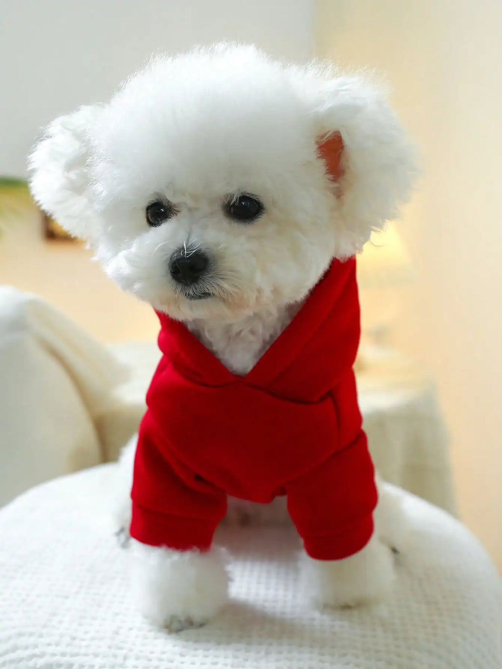 Red Hooded Pet Sweatshirt for Small Dogs