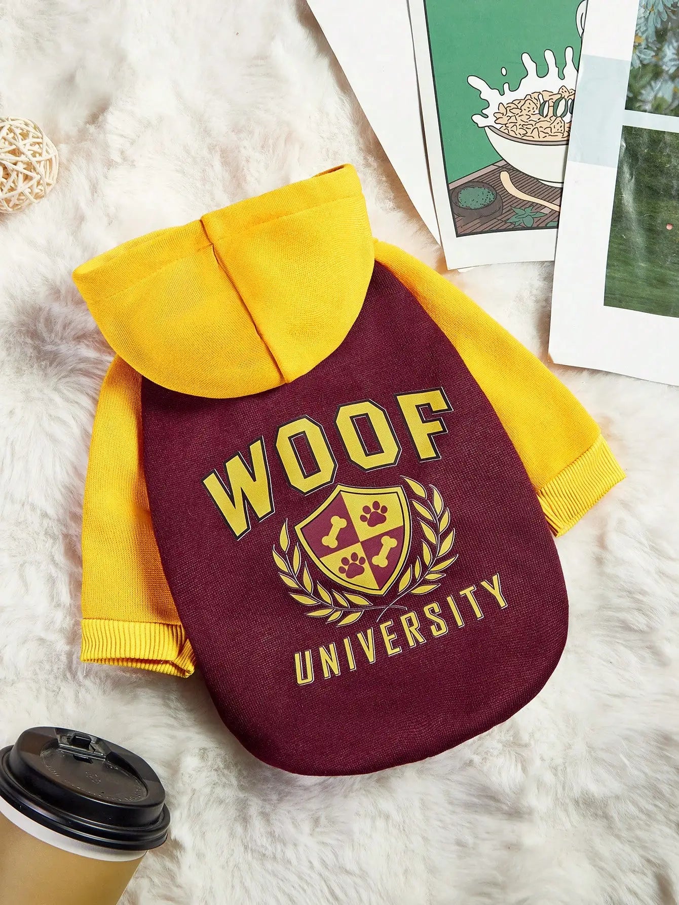 Pet Hoodie Sweatshirt with Vintage Color Block