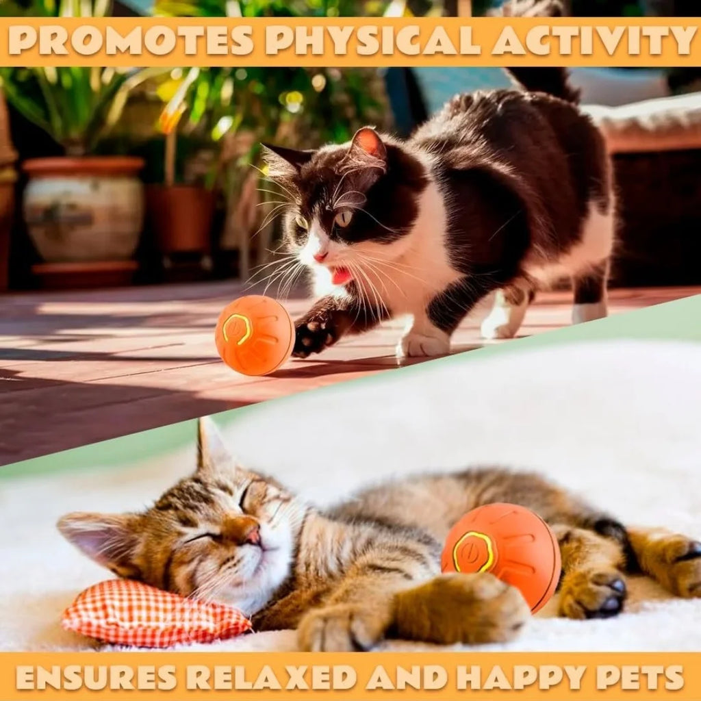 Smart Bouncing Electric Pet Ball, Automatic Random